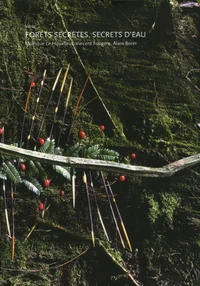 Forêts secrètes, secrets d'eau