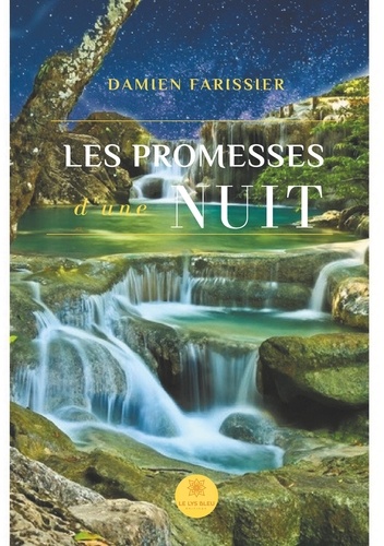 Damien Farissier - Les promesses d'une nuit.