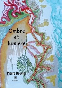 Pierre Bouvier - Ombre et lumière.