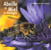 Abeille et miel en Bretagne