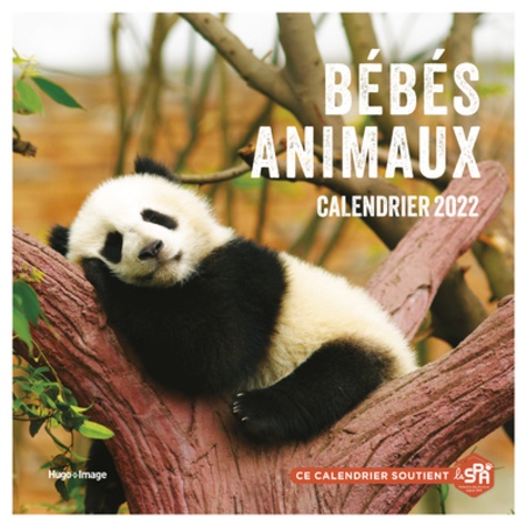 Calendrier mural Bébés animaux  Edition 2022