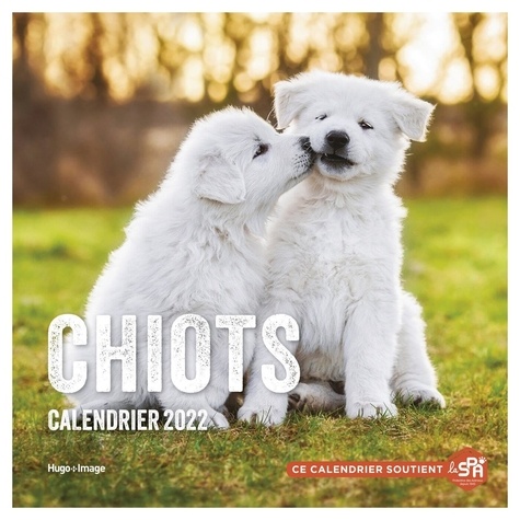 Calendrier mural Chiots  Edition 2022