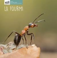 Léa Schneider - La fourmi.