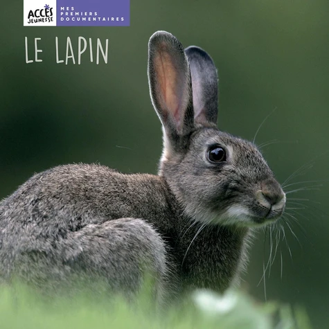 Couverture de Le lapin