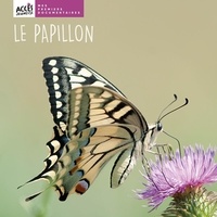 Léa Schneider - Le papillon.