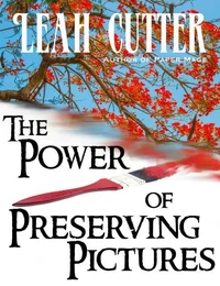 The Power of Preserving Pictures