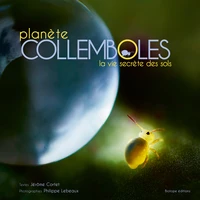 Planète collemboles