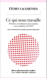 Ce qui nous travaille