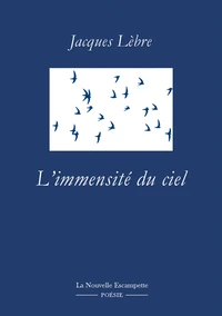 L'immensité du ciel