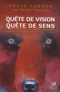 Quête de vision, quête de sens