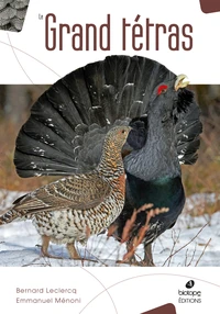 Le grand tétras