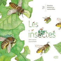 Les insectes