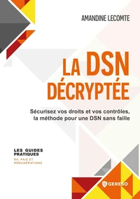 La DSN décryptée