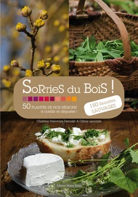 Sorties du bois !