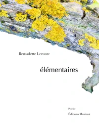 Elémentaires