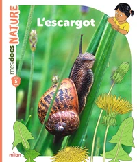 L'escargot