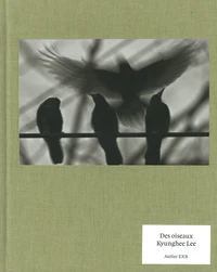 Des oiseaux
