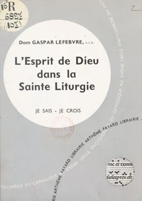 L'Église dans sa liturgie et ses rites (10) : L'esprit de Dieu dans la sainte liturgie