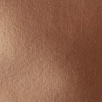 Acrylique liquitex basics - bronze - 118ml