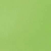 Acrylique liquitex basics - vert jaune brillant  - 118ml