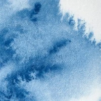 Aquarelle aquarelle winsor & newton professional watercolour  - demi-godet  bleu anvers -  010