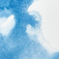 Aquarelle extra-fine aquarelle winsor & newton professional watercolour  -  demi-godet bleu de ceruleum -  (137)