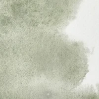 Aquarelle winsor & newton professional watercolour  - demi-godet gris davy -  217