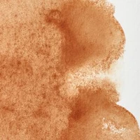 Aquarelle winsor & newton professional watercolour  - demi-godet ocre brune -  059