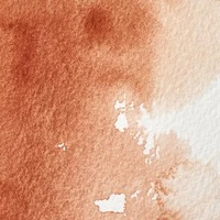 Aquarelle winsor & newton professional watercolour  - demi-godet terre de sienne brûlée -  074