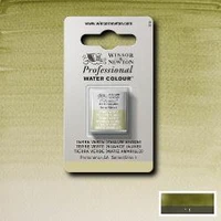 Aquarelle winsor & newton professional watercolour  - demi-godet terre verte nuance jaune -  638