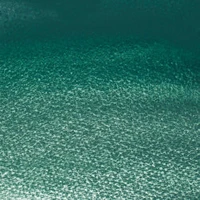 Aquarelle winsor & newton professional watercolour  - demi-godet vert de cobalt foncé  -  185