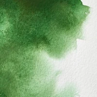 Aquarelle winsor & newton professional watercolour  - demi-godet vert de hooker -  311