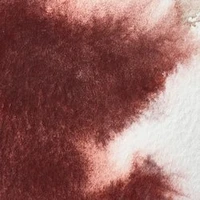 Aquarelle winsor & newton professional watercolour  - demi-godet violet caput mortuum -  125