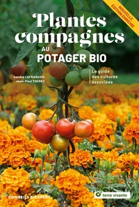Plantes compagnes au potager bio