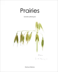 Prairies