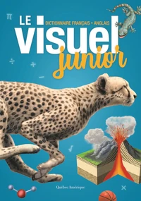 Le visuel junior