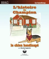 L'histoire de Champion