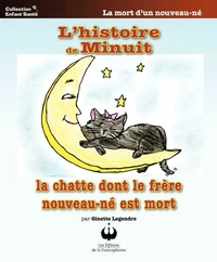 L'histoire de Minuit