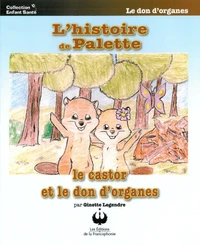 L'histoire de Palette