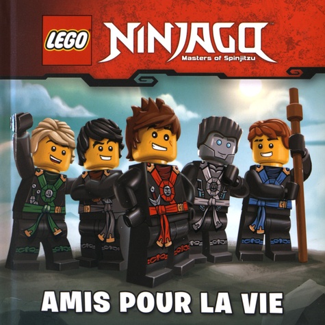  Lego - Lego Ninjago Masters of Spinjitzu - Amis pour la vie.