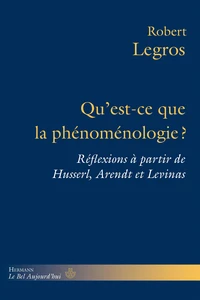 Qu'est-ce que la phénoménologie ?