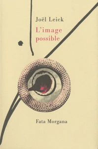 L'image possible