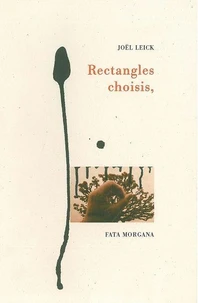 Rectangles choisis,