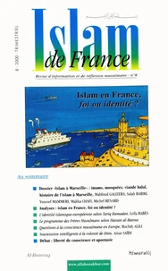 Islam En France N°8 : Islam En France: Foi Ou Identite?