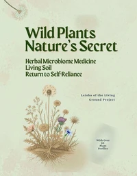 Wild Plants, Nature's Secrets: Herbal Medicine, Living Soil, and the Return to Self-Reliance