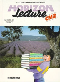 Horizon lecture, CM2