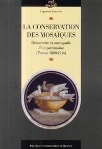 La conservation des mosaïques