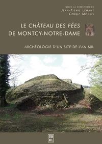 Le château des fées de Montcy-Notre-Dame