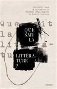 Que sait la littérature ?