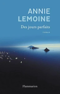 Des jours parfaits